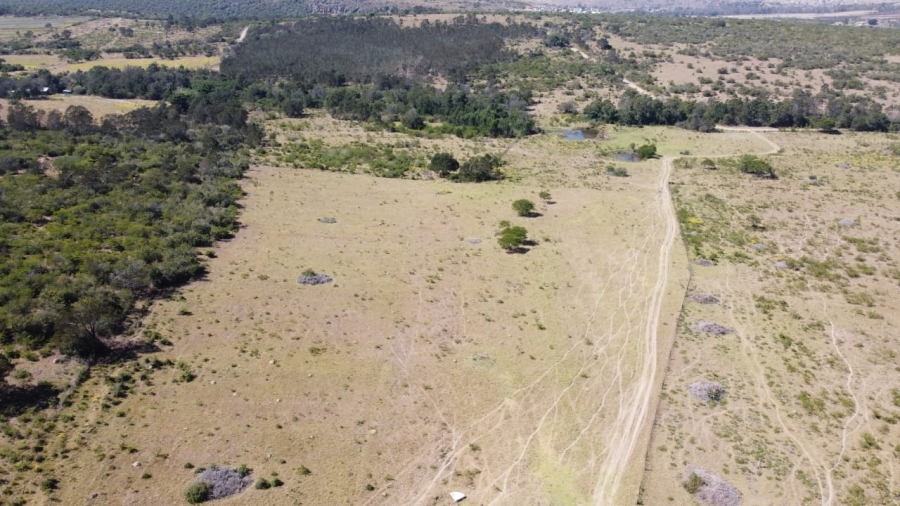 4 Bedroom Property for Sale in King Williams Town Eastern Cape